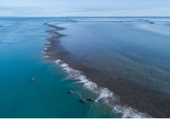 Montgomery reef low tide