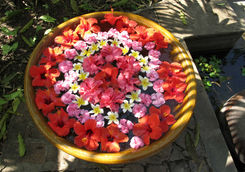 Flower decorations in Myanmar