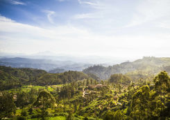 Sri Lankan landscape