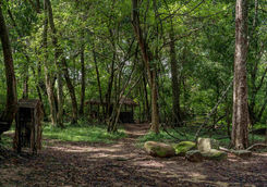 Vedda house