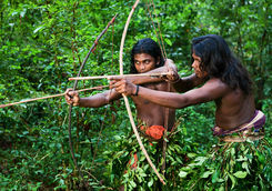 Vedda people