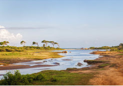 Yala National Park