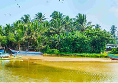 Boat in a river in Galle, Sri Lanka
