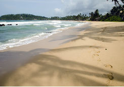 Mirissa beach