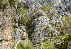 Divine River Gorge