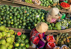 floating market