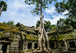 ta prohm