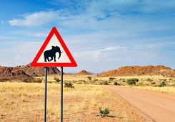 elephants crossing sign