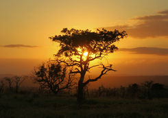Thanda scenery