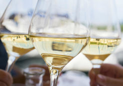 Champagne tasting