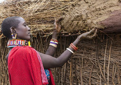 Masai woman buiding hut putting cows dung on roof