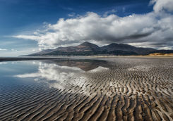 Mourne Mountains in the Distance
