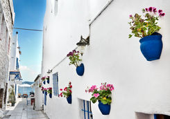 Street in Bodrum