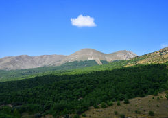 Green hills near Gallipoli