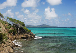 Tobago Cays Marine Park