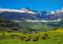 Caucasus mountains