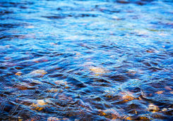 stream pebbles detail