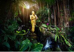 buddha statue tropical forest