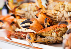 crab and go on the beach