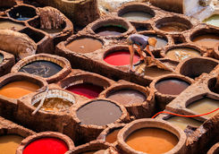tannery