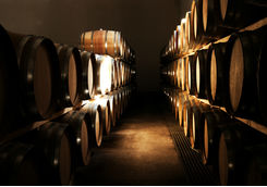 wine celler