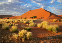 sossusviei sand dune