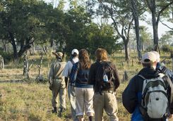 walking safari