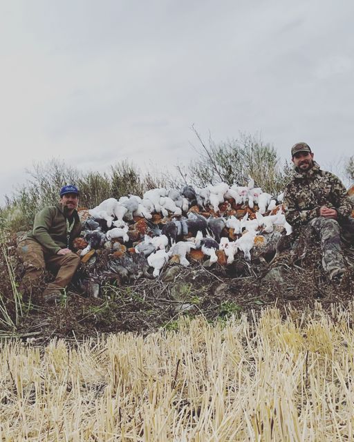 Wild Boar and Hog Hunting in Kauai Outguided