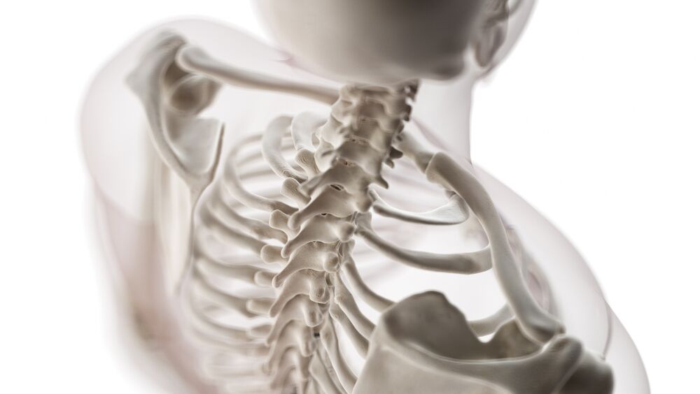 Spine illustration cervical