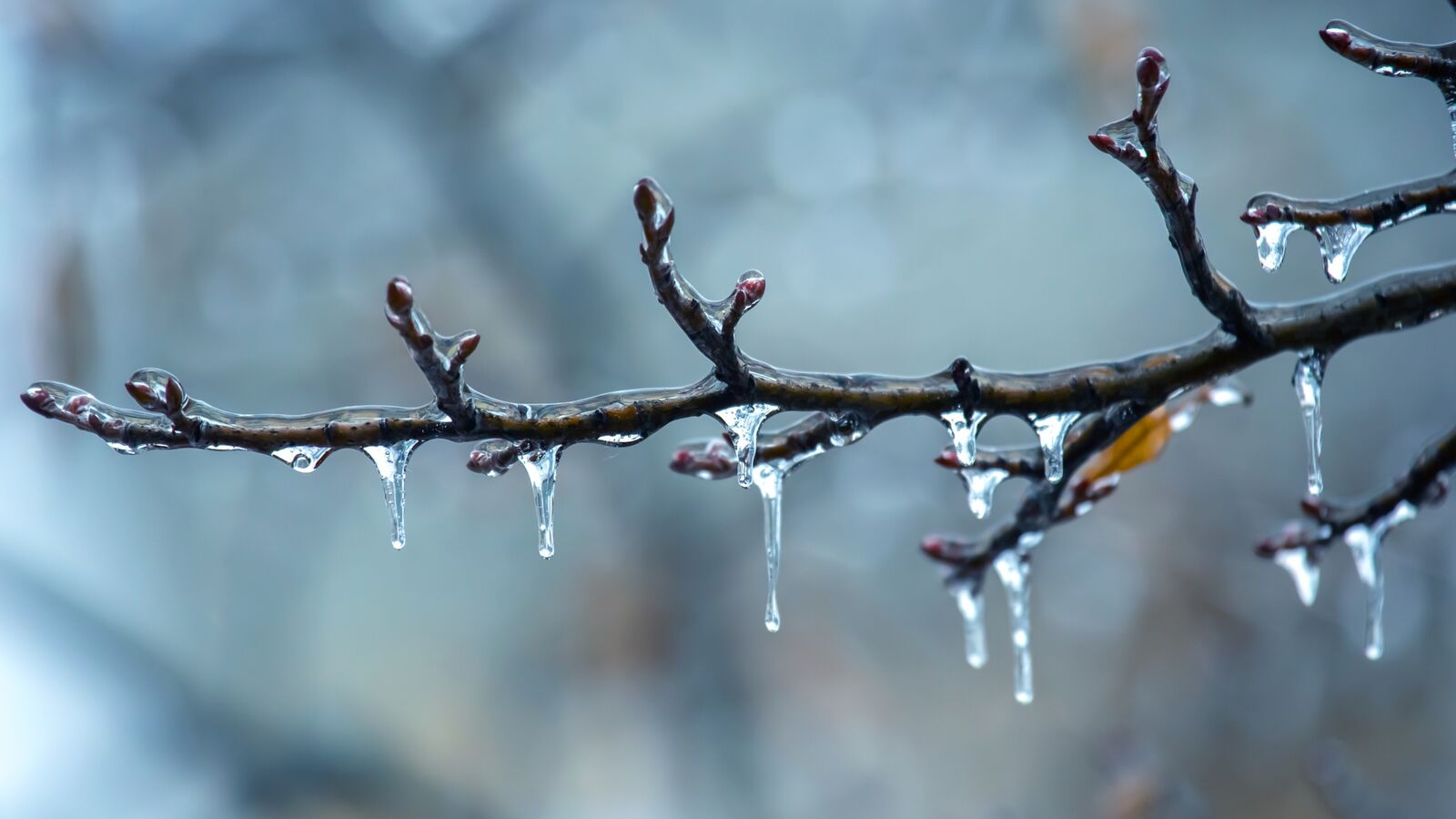 Adobe Stock 560561336