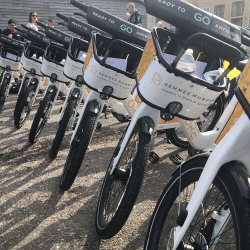 Semmes Murphey Branded Bikes Lined Up in a Row