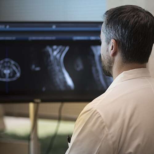 Doctor looks over x ray images