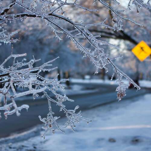 Weather message2