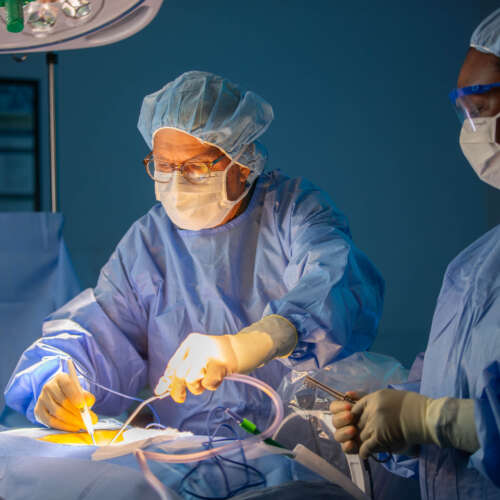 Surgery 2026 8882