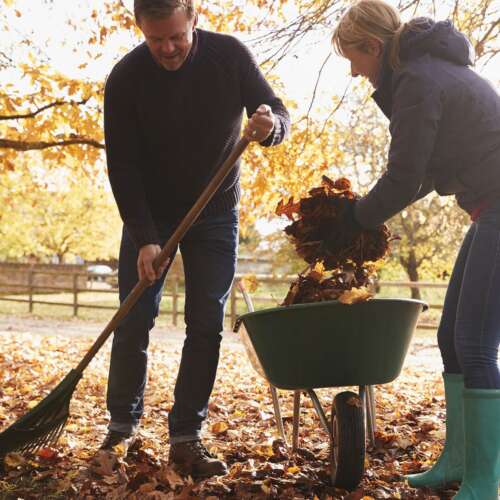 Yard work blog square