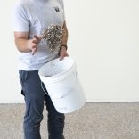 Flake install photo 0197