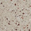 FB 5016 GEMSTONE