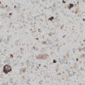 FB 5022 COASTAL