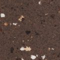 FB 5303 RUSSET