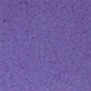 F1020 AMETHYST 1 4