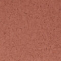 F1080 CANYON RED 1 4