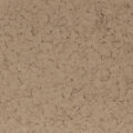 F1320 FAWN 1 4