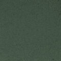 F1360 FOREST GREEN 1 16