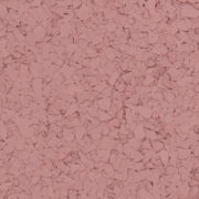 F1760 ROSE 1 4