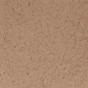 F1770 SALMON 1 4