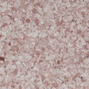 F3130 VARICOLORED ALOHA ROSE 1 4