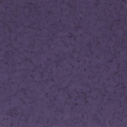 F5104 AFRICAN VIOLET 1 4