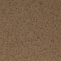 F5117 ACORN 1 4