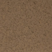 F5117 ACORN 1 4