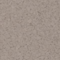 F5219 STICKS STONES 1 4